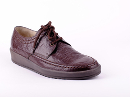 Salamander (�֠�����)