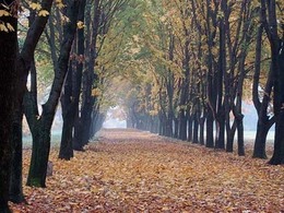 ������������ ��� ��. �. �. ������� (������������ ��� ���������������� ��������� ������������)