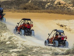 ������ ���. ����� �����������