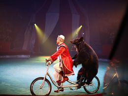 ���� ������� (�� �������)