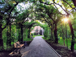 ���� ����� ���� ��������