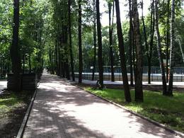 ������������