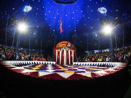 ������ ������