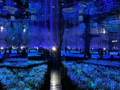 Luminar