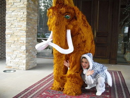 �����-���