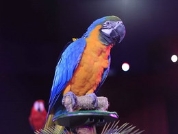 ���� �� ��������� �����������