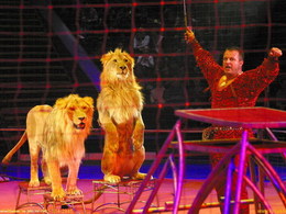 ���� �������� ��&nbsp;������� ��������