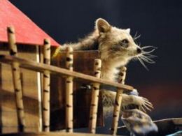 ����-������ «����-������»