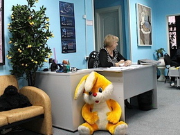 ����� �������� ����������