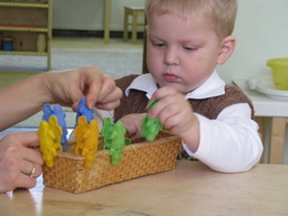 �������, �������� ����