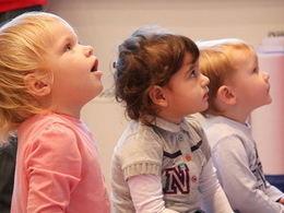 ����-���� � ������