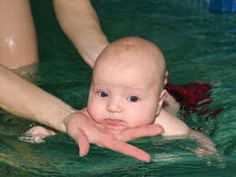 ������, ������� ����