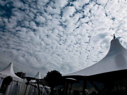 ����� ����