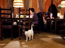 ����������