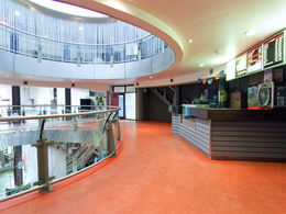 ���� ����� (�������)