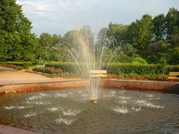 ���� ����������