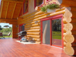 ������� ������ (�������� ����� &laquo;������� family&raquo;)