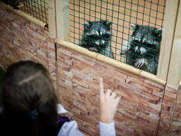 �������� ��� �������, ���������� �������