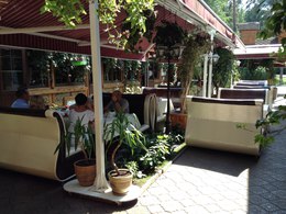 ����� (������� Village)