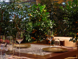 La�Bella Societá (���������� ��������)