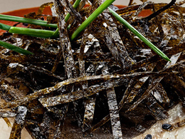 ����� ������ Music Bar