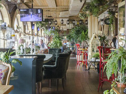 Птицы и пчелы