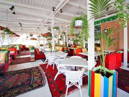 ������ ��������������