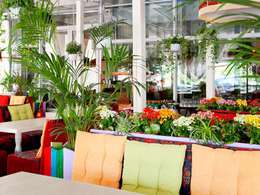 ������ �����������