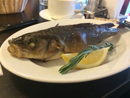 �������� �����