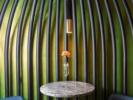 ������ �������