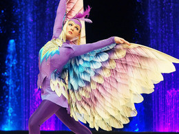 ���� ��������� �������� �����������