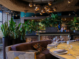 ������� �����������