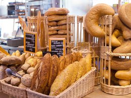 ������ ���������