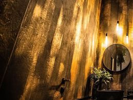 ���� Edition ���������������