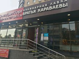 ������ ���������