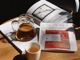 ������ ������������