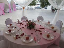 ����� ���������