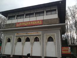 �����������