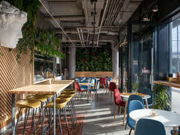 ��������� �����