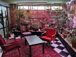 ��� ������ ������