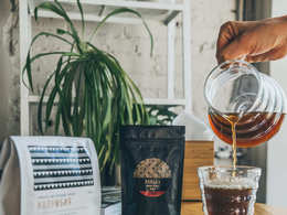 ���� ���������