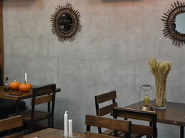 Food ������