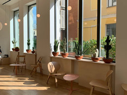 ������ �����