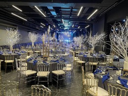 ������ ����