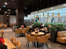 ������ ����������� ��1�� ��������