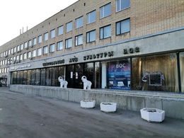 ���� ���