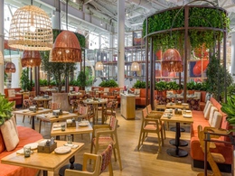 Pro.������� by Novikov