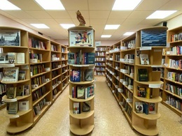 ���������� �193