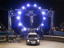 ���� ����������  ������������ (� �������������� �����)