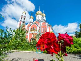 ����� ������� �����������